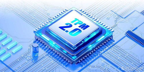 生物识别与多重验证的防护体系