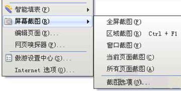 五、专业用户的高级截图管理技巧