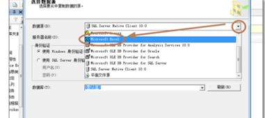 四、导入后的关键验证步骤