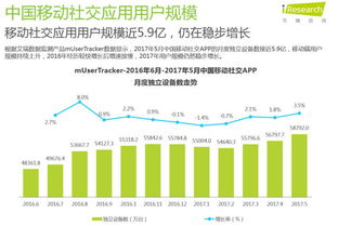 区域分布特征与本土化运营策略