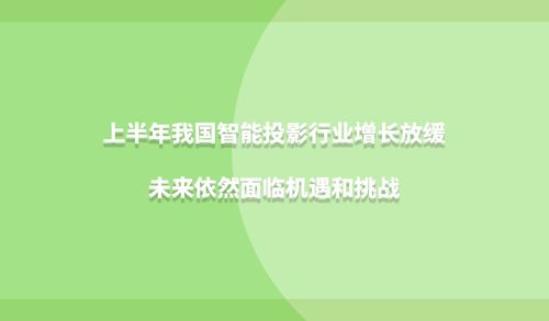 未来增长面临的挑战与机遇