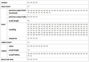 交易确认与区块链查询