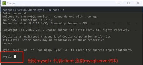 TTC代币的基本概念与起源