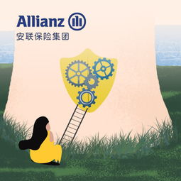 第三方保险服务的补充保障