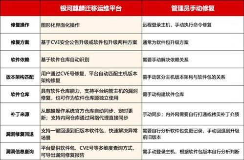 应急恢复与漏洞应对策略