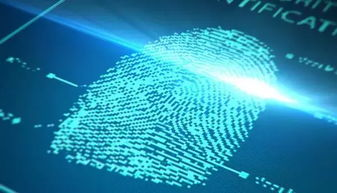 四、指纹密码与助记词的安全协同方案