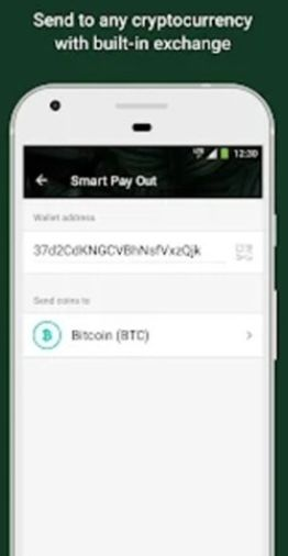 稳定币在钱包中的特殊作用