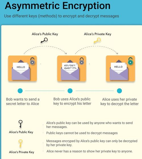 二、创建与备份数字钱包全流程