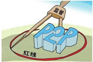 监管政策与合规性挑战