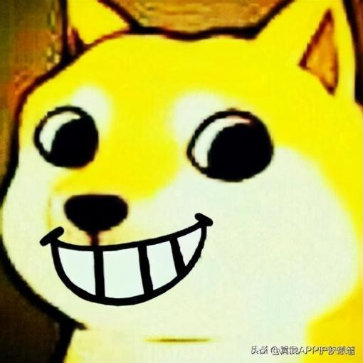 通过跨链桥接存储DOGE的替代方案