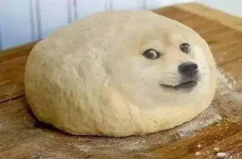 第三方钱包管理DOGE的对比方案