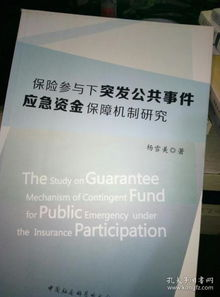 紧急情况下的资产保护方案