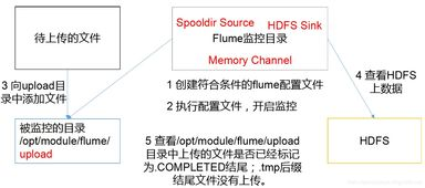 三、数字资产存储与转账实操