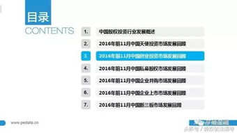 五、众筹后资产管理策略