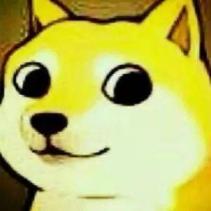 安全存储DOGE的最佳实践建议