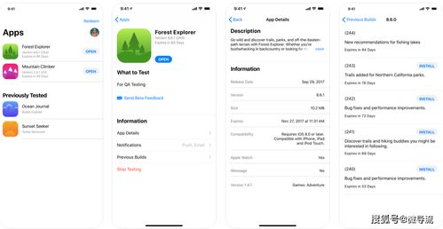imToken测试版与TestFlight平台的关系解析