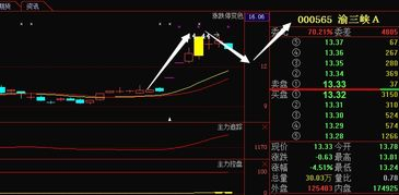 高风险交易的事中处置方案