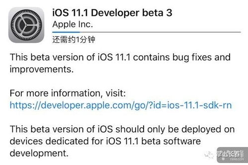 密码提示功能的使用技巧