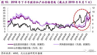 多重验证下的资产保护策略