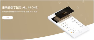 多链支持能力测评：哪款钱包更适应多元生态？