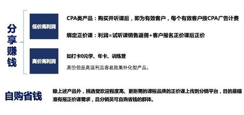 安全知识板块的深度内容剖析