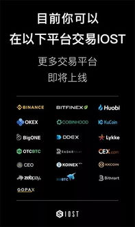 不同购币方式的风险对比分析