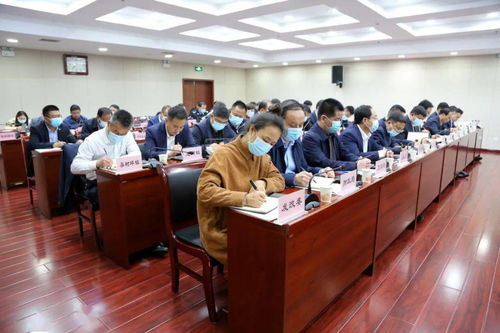 定期维护与安全审计规范