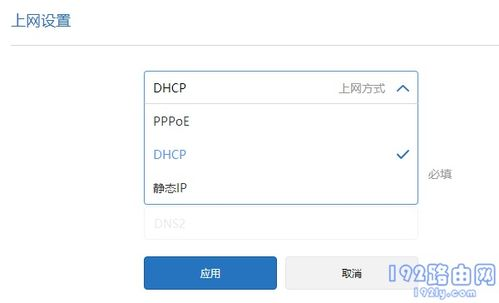 检查网络设置的正确方法