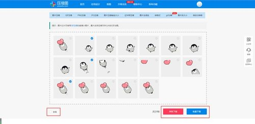 详细操作步骤分解