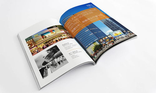 开发团队的国际化背景