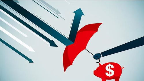 四、极端情况下的风险控制措施