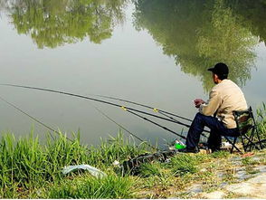 安全防护与反钓鱼指南