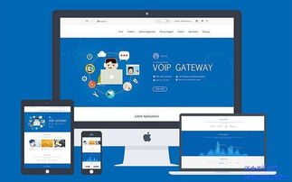 二、安全性对比：电脑版与移动版的差异