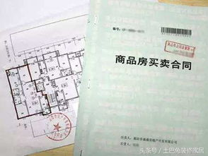 合约地址与代理合约的特殊处理