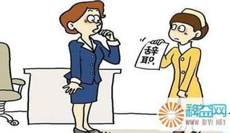 钱包核心功能的热门讨论