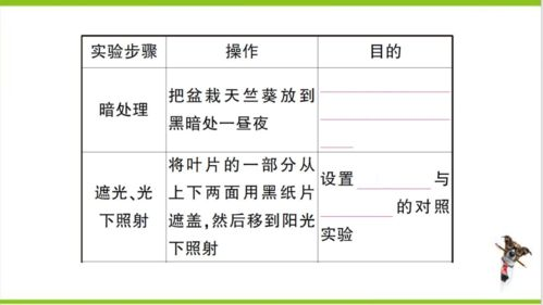 三、带宽与能量的区别及适用场景