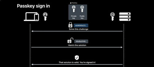 生物识别与密钥保护机制