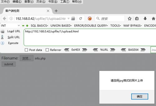 伪造客户端应用的识别技巧