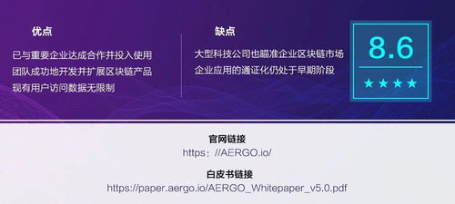 Ergo区块链的技术特性与存储要求