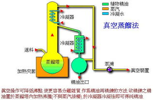 现有解决方案：通过桥接方式间接存储ERG