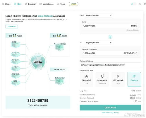 跨链转账后的资产归属问题