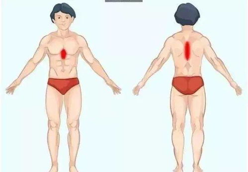 五、与标准版的功能差异化对比