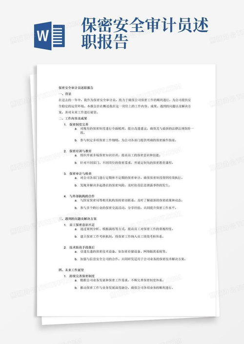 专业安全审计报告的关键发现