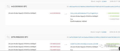 四、链上转账的操作要点