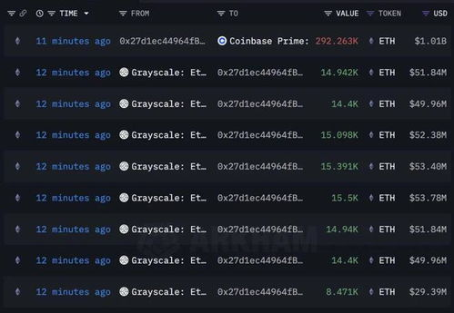 2. 代币显示功能未开启