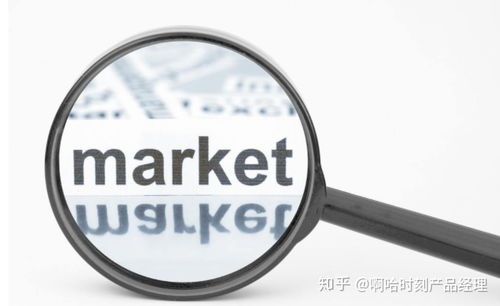 产品定位与市场背景差异