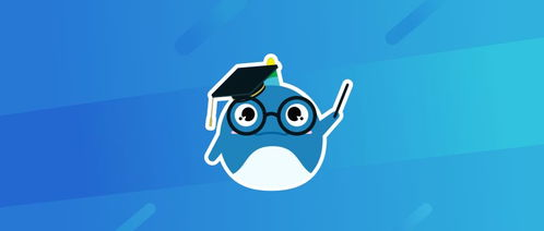 常见问题与imToken官网支持资源