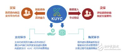 区块链交易的公开透明性分析