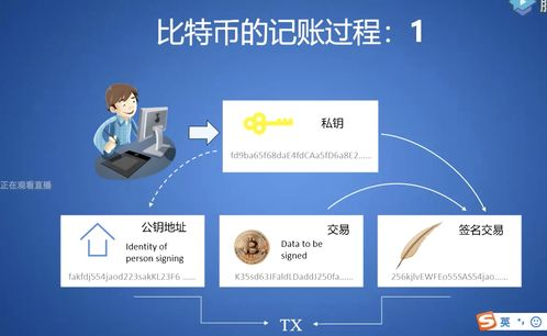 交易确认与区块链验证