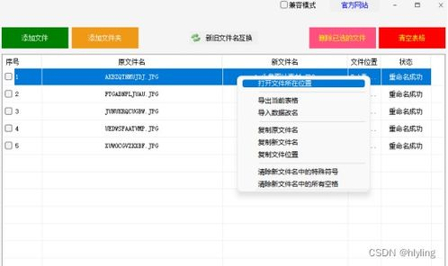 多钱包管理的命名策略